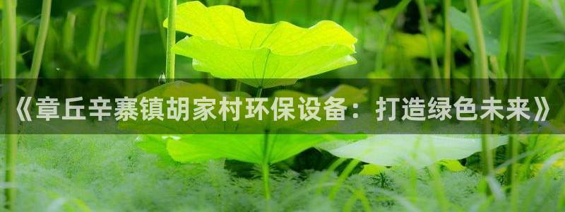 凯发k8娱乐官网版下载阿里尔公司：《章丘辛寨镇胡家村环保设备：打造绿色未来》