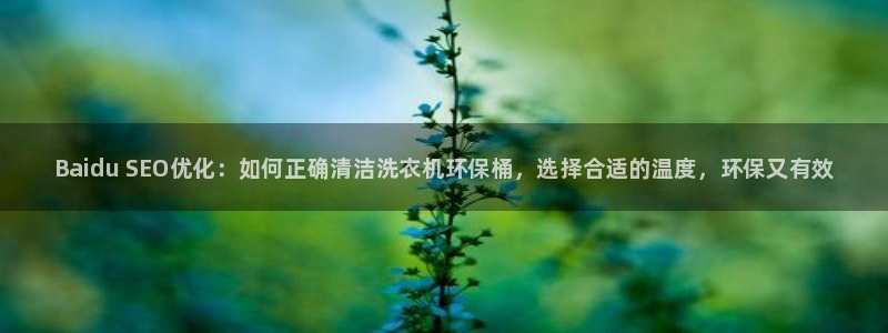 <h1>凯发k8国际版官网网易</h1>Baidu SEO优化：如何正确清洁洗衣机环保桶，选择合适的温度，环保又有效